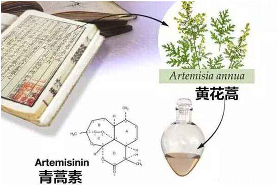 易游在线,易游在线（中国）：向中医药看齐，与世界共享中医药文化(图1)